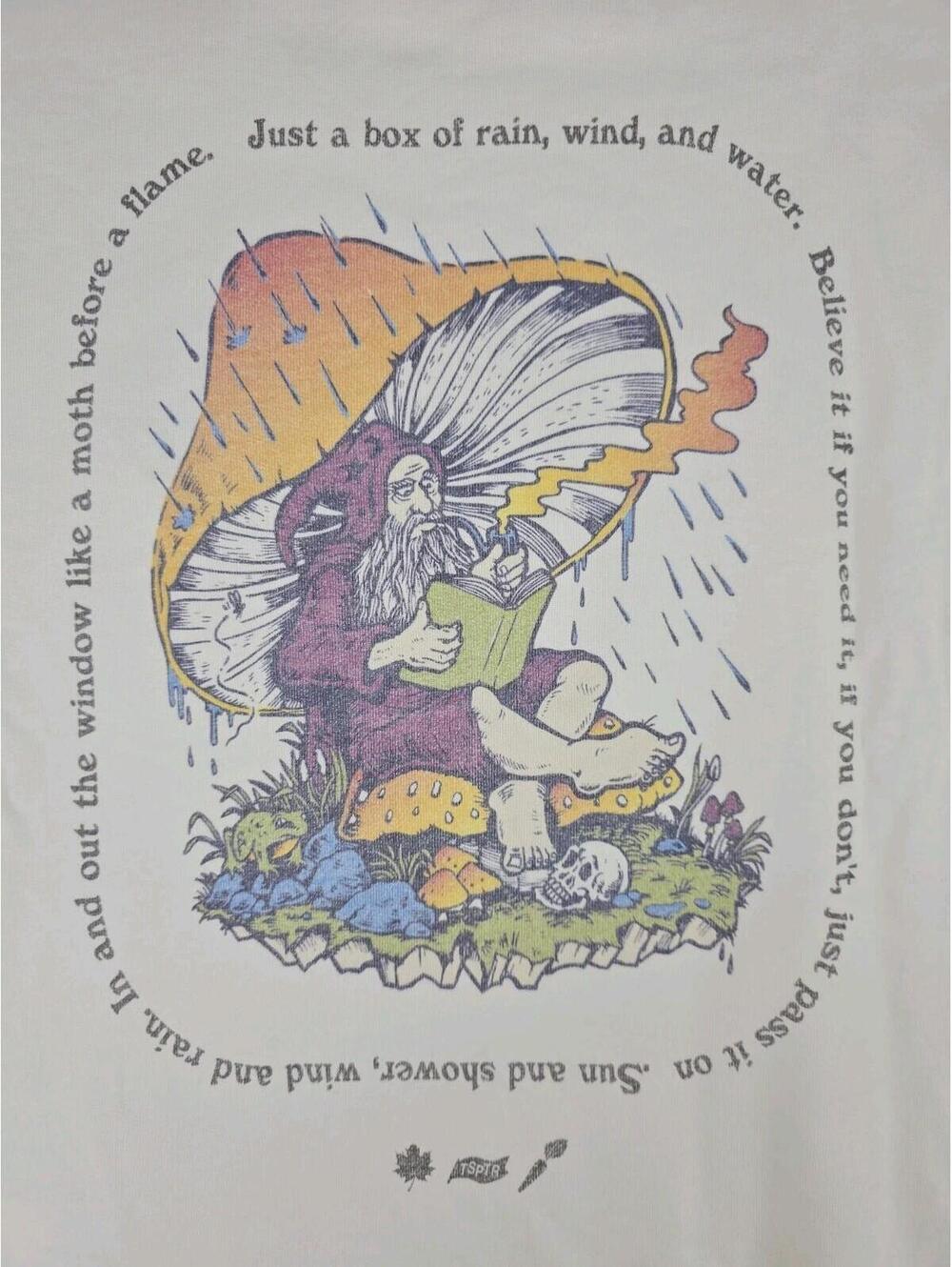 TSPTR Grateful Dead BOX OF RAIN sz Small Double Sided Pullover Sweater Shrooms